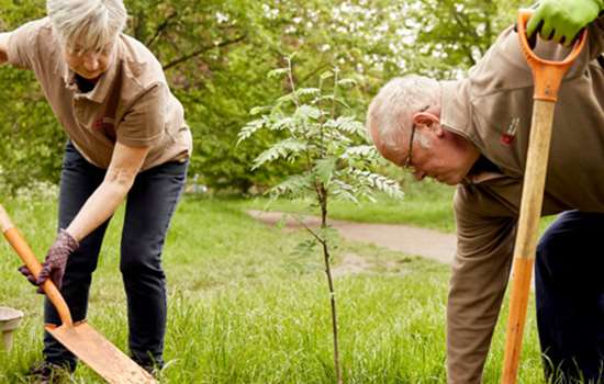Two gardeners in English Heritage uniform use shovels to dig in the garden.
