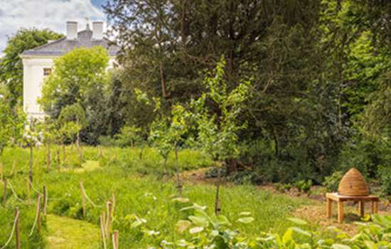 The gardens at Marble Hill, with view of a wooden gate in the foreground, and Marble Hill House surrounded by greenery in the background.