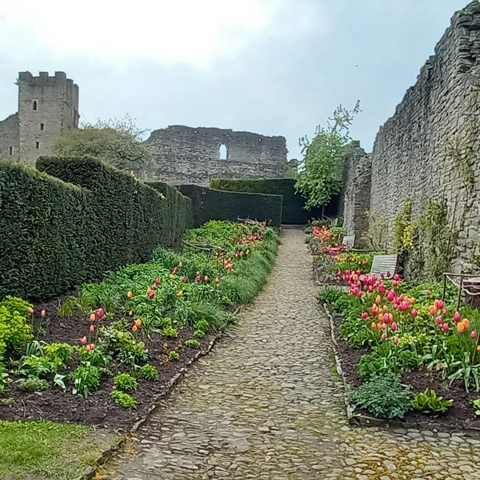 Flower beds in the gardens at Mount Grace Priory, with view of the stone walls and tower in the background.